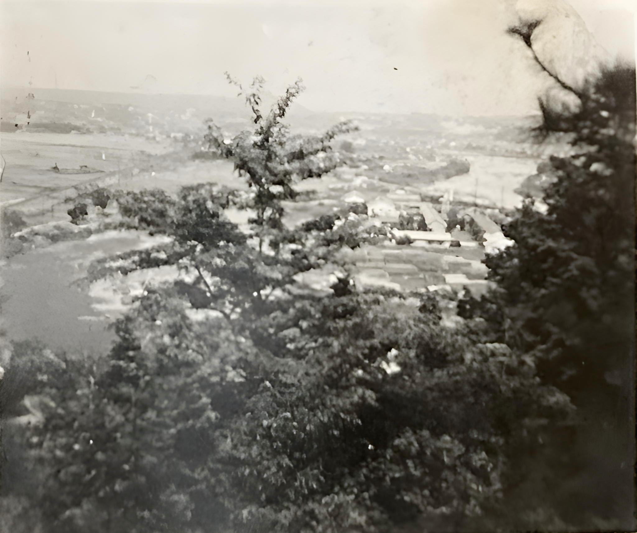 IMG_3776 (1).pngのエイリアス